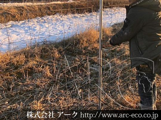 進捗状況