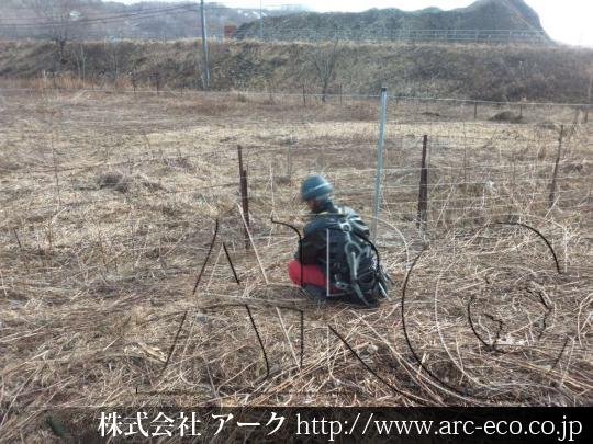 進捗状況