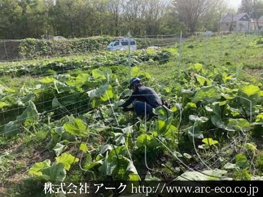 進捗状況