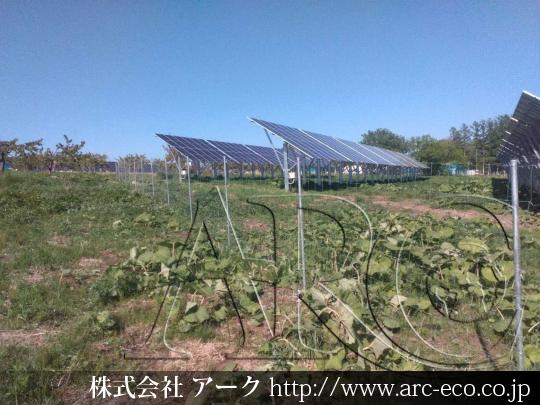 進捗状況